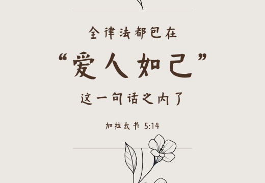 经文金句